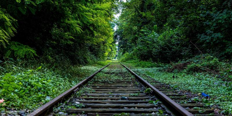 SBD0与下一代数据服务:重塑网络架构的核心引擎