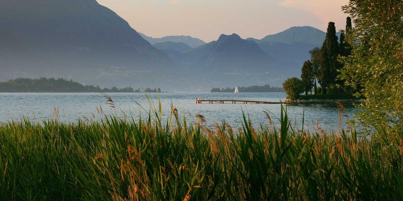 SBD0网络架构革命：基于AI的流量预测与智能资源调度技术解析