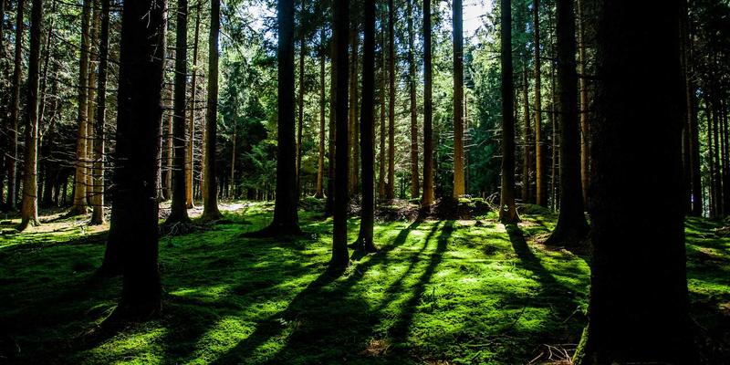 Wi-Fi 6E技术解析：如何利用6GHz频段重塑企业网络架构与数据服务