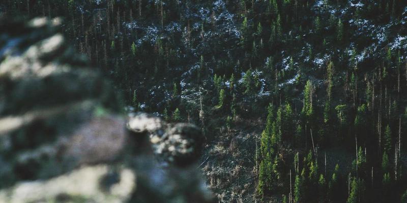 云服务与SBD0:现代网络技术的核心对比与演进路径