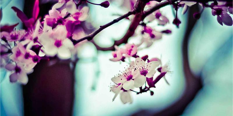 时间敏感网络（TSN）：重塑工业自动化的网络架构与网络安全基石