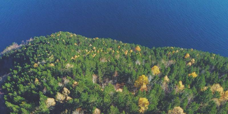 时间敏感网络（TSN）：驱动工业互联网与智能制造的数据服务新基石