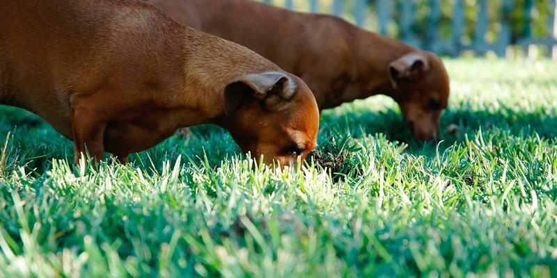 构建未来办公安全：零信任网络架构（ZTNA）在混合环境下的实施策略与数据分析