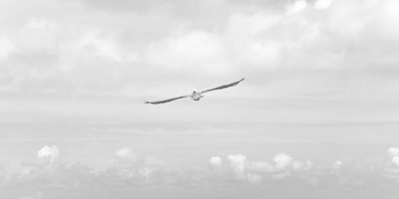 网络技术14时代：融合网络安全与云服务的新范式