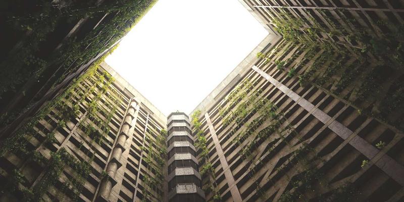 网络技术61与SBD0:驱动下一代数据服务的核心架构解析