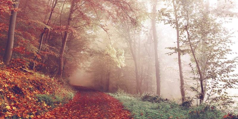 网络技术77时代：数据分析与云服务如何重塑企业数字化未来