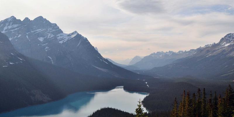 网络技术89:网络安全、数据分析与网络架构的融合演进