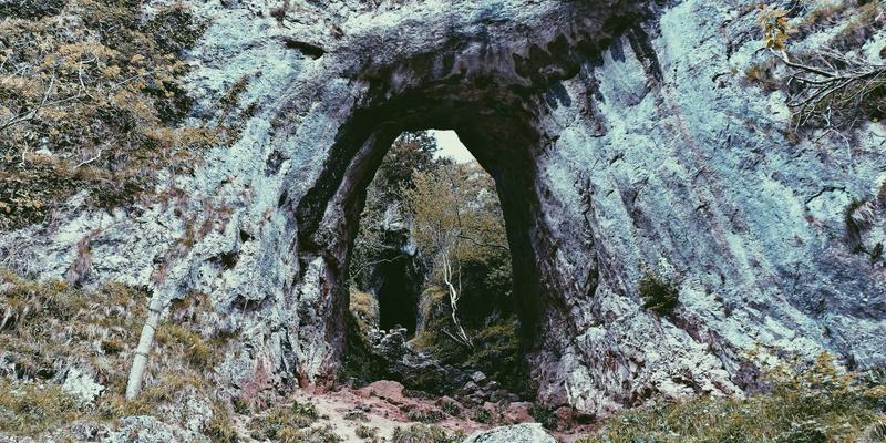 网络技术最佳实践:构建高效、安全的现代IT架构