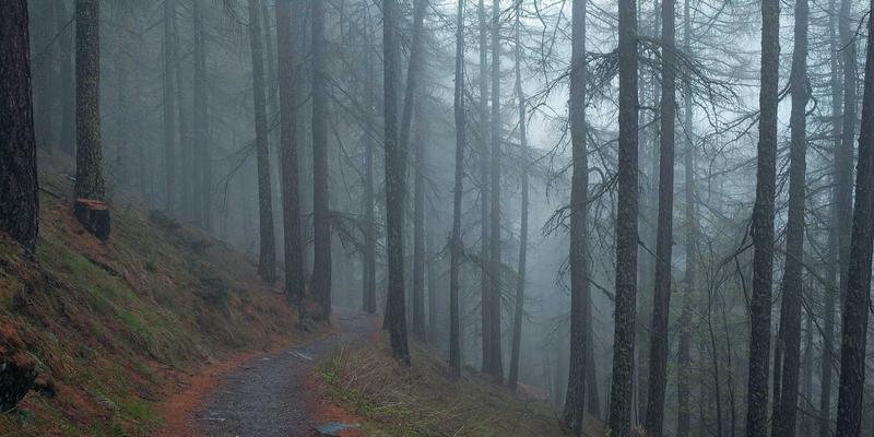 网络数据平面可编程技术（如P4）如何重塑下一代网络架构：赋能数据分析与网络安全