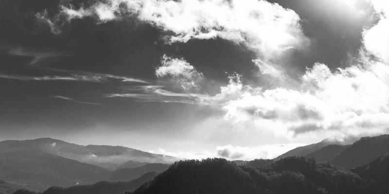 网络自动化与AIOps：如何通过数据分析构建智能自愈网络架构