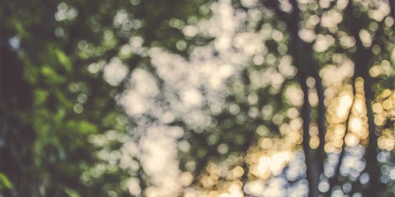 边缘计算与5G MEC融合：驱动低延迟工业物联网应用的关键网络技术