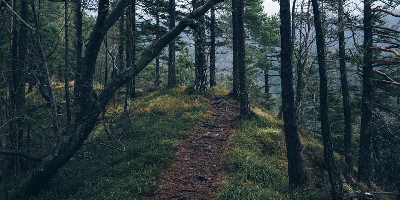 零信任安全架构（ZTNA）如何重塑企业混合云环境：从SBD0到网络架构的实战部署策略